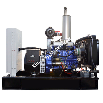 20KW 25KVA صامت ثنائي الوقود الديزل ومجموعة مولدات الغاز الحيوي محرك الكمون