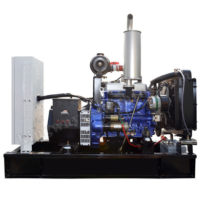 20KW 25KVA صامت ثنائي الوقود الديزل ومجموعة مولدات الغاز الحيوي محرك الكمون